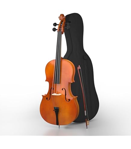 チェロ　3\4 サイズ Amazon.com: Mendini by Cecilio 3/4 Violin Set For Beginners