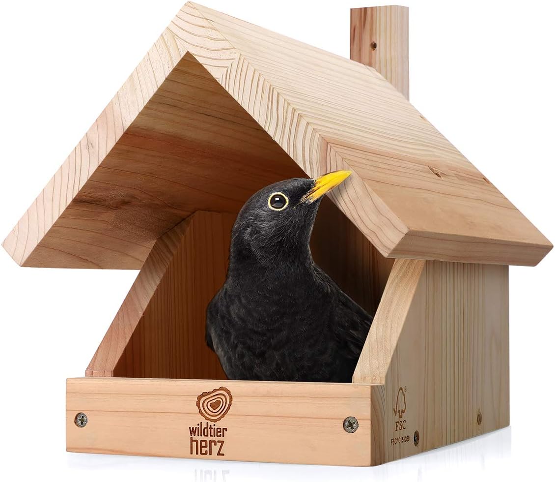 wildtier herz I Blackbird nesting box made of screwed solid wood, weatherproof & untreated, bird house for half-cave breeders
