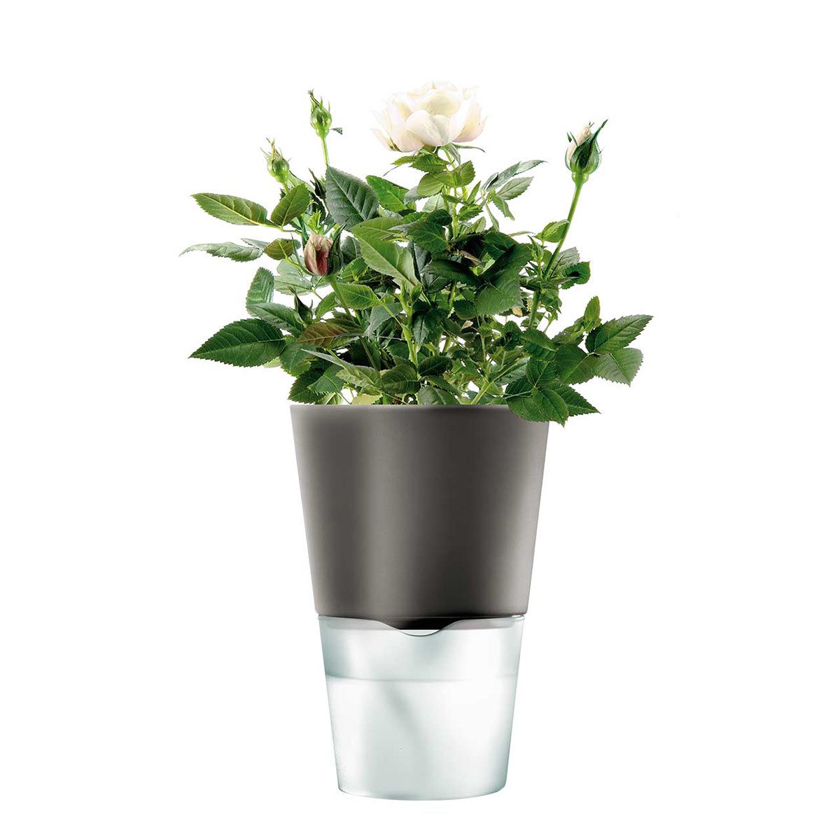 Eva Solo 11 cm Herb Pot, Dark Grey