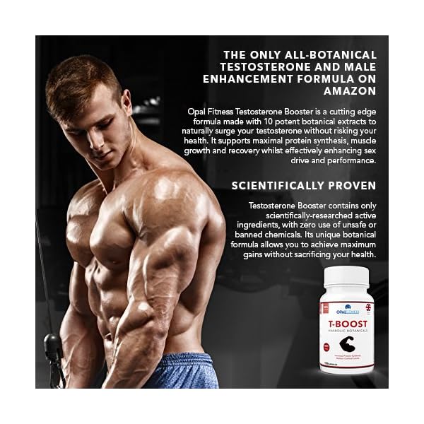 Testosterone-And-Libido-Booster-For-Men-By-Opal-Fitness-Anabolic-Male-Enhancing-Capsules-With-Maca-Root-Gingko-Biloba-Korean-Ginseng-Reduce-Stress-Cortisol-Produced-In-The-UK-120-Capsules Testosterone And Libido Booster For Men By Opal Fitness - Anabolic Male Enhancing Vegan Capsules With Maca Root, Ginkgo…