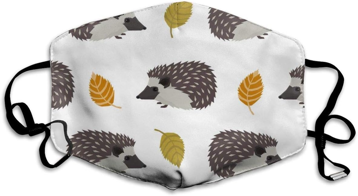 Hedgehog Dust Mask, Reusable Washable Mouth Masks, Adjustable Warm Face Mask Unique Cover Filters Blocking Pollen Pollution Germs