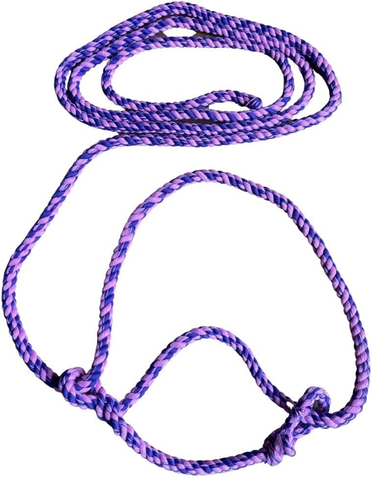 Equine Outlet Cotton Rope Halter for Ponies and Small Animals – Adjustable Lightweight Halter for Shetland, Section A, Sheep, Llama and Calf – Made in the UK (Pink/Purple)