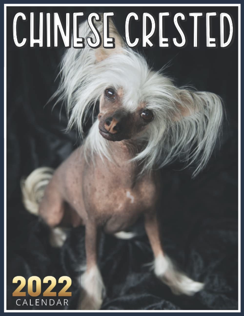 Chinese Crested Calendar 2022: 13 Month Calendar Planner, Gift Idea For  Chinese Crested Dog Owners & Lovers: Sugaya, Kyo Nori: 9798779302258:  Amazon.com: Books