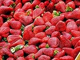 Strawberry Seeds 100 Sweet Organic Beauty Red Strawberry Fruit Climbing Seeds for Planting Strtisfied Berry Plant Seeds