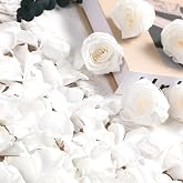 1.4oz Dried Real Rose Petals, White for Wedding, Bridal Shower &amp; Engagement | Natural Preserved Flowers Petals, Romantic Night, Valentines Day, Dinner Table Confetti, Party Decor, Anniversary Celebration