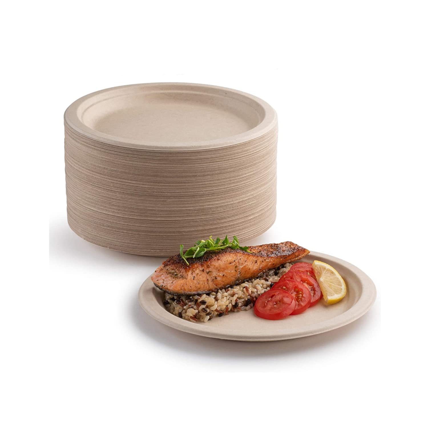 YIEN 100PCS Super Rigid Paper Plates 100% Biodegradable and Compostable, Environmentally Friendly Heavy-Duty Recyclable Dinner Plate, Perfect for Picnics Barbecues (9inch)