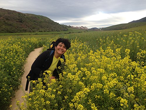 Livro Impressões de um Caminho Sobre o Caminho de Santiago de Compostela