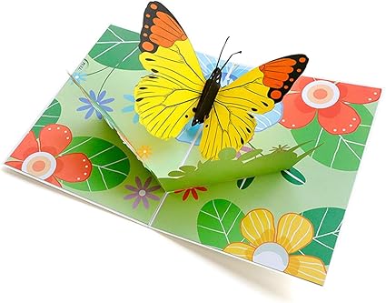 Biglietto Di Auguri Pop Up 3d Con Farfalle E Fiori Biglietti Di Ringraziamento Biglietti Di Auguri Biglietto Di Condoglianze Biglietto Primaverile Amazon It Cancelleria E Prodotti Per Ufficio