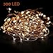 Super Long 100 Feet 300led Starry String Lights for Garland, Wreath, Wedding, Party or DIY Decoration
