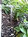 Grounding Rod and Cable for Grounding Products. Use Your Existing Cord. Fits Any Brand That Plugs Into Your Outlet Ground
