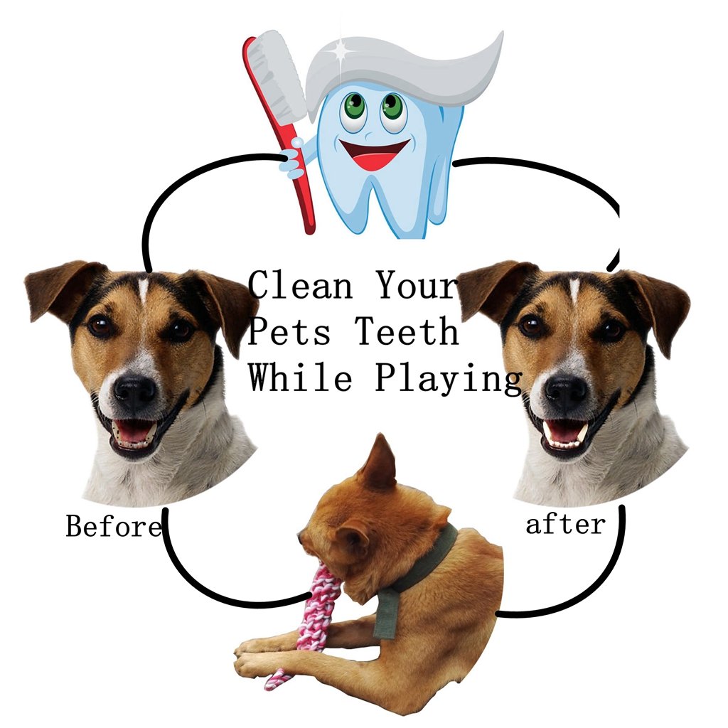 3 Sets Pet Toy, Dog Rope Toys Dog Chew Toy, Braided Rope Dog Toy, for Small and Medium Dogs