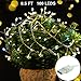 String Lights, LISOPO 8.25Ft /100 LEDs USB Powered Waterproof Photo Clip Fairy Starry Lights Led String Lights Decoration for Party, Christmas, Garden, Xmas (Warm White)
