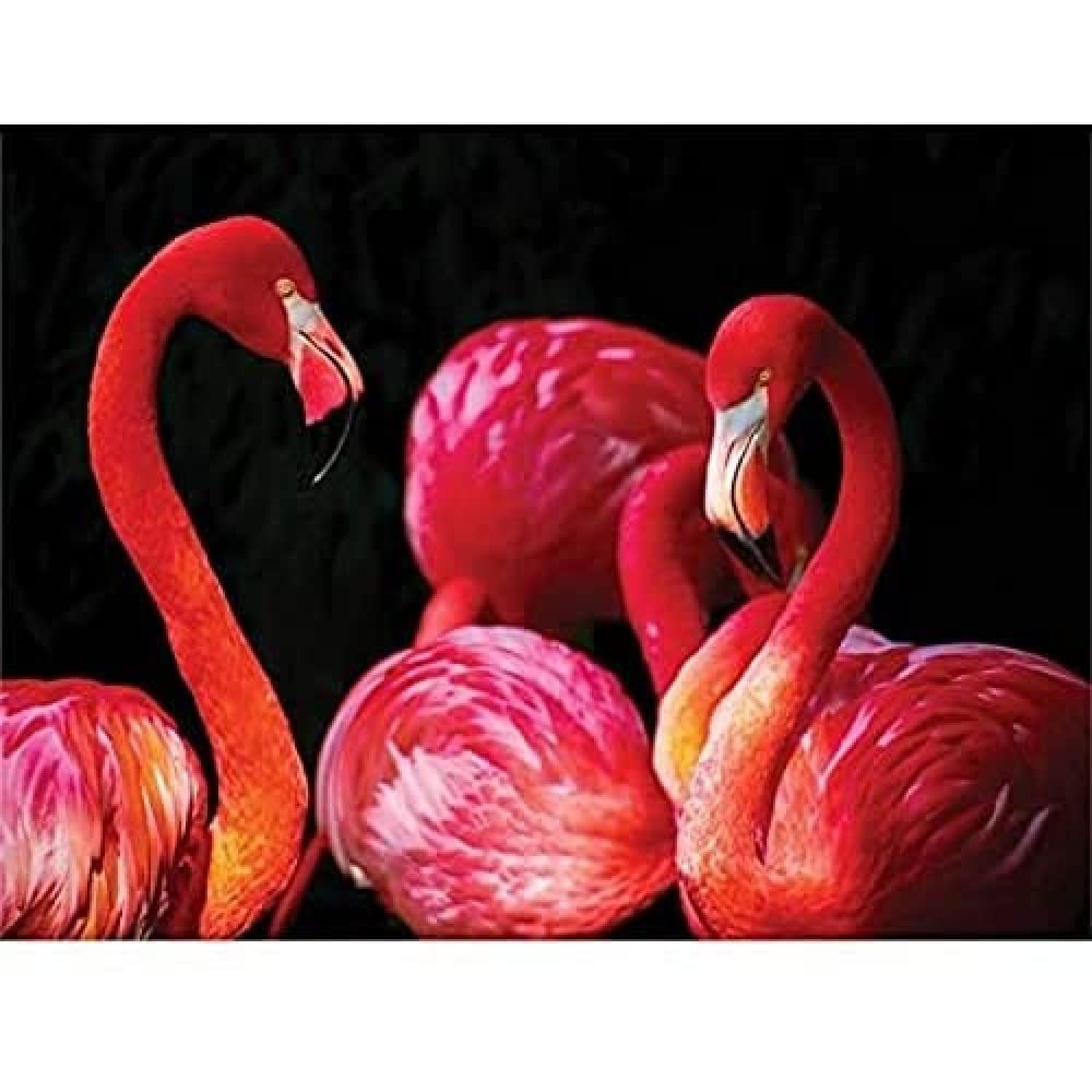 Pink Flamingo Bird Group Canvas Wall Art Print