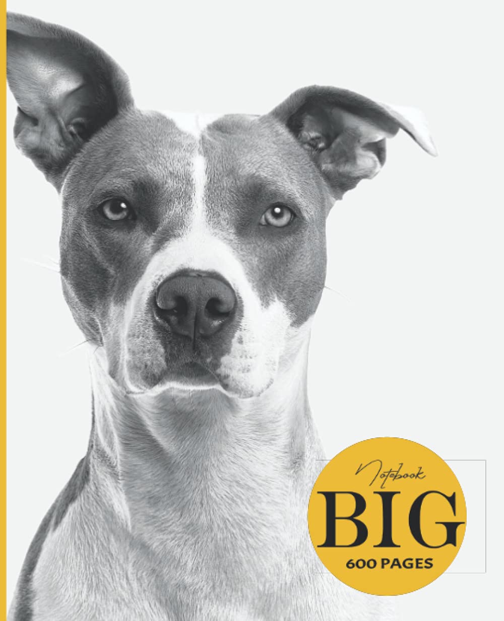 Big Notebook 600 pages: big notebook journal,big notebook for notes,big notebook journals for writing,big notebooks for school,big notebooks for ... notebook for women, big notebook for men.