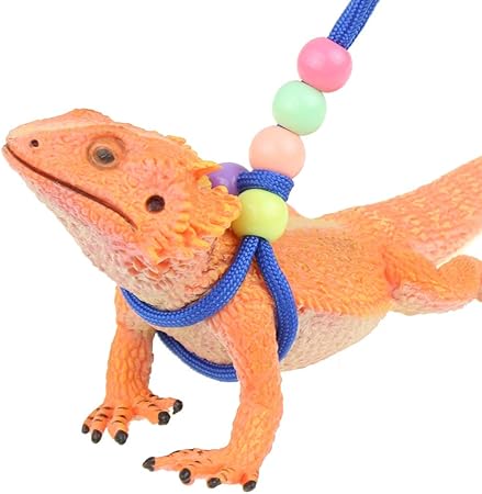 chameleon leash