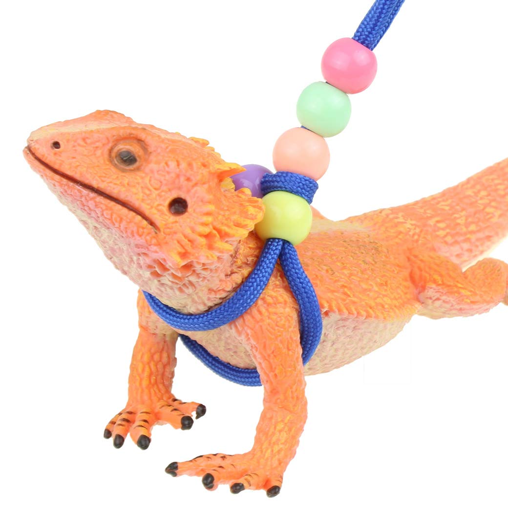gecko on a leash