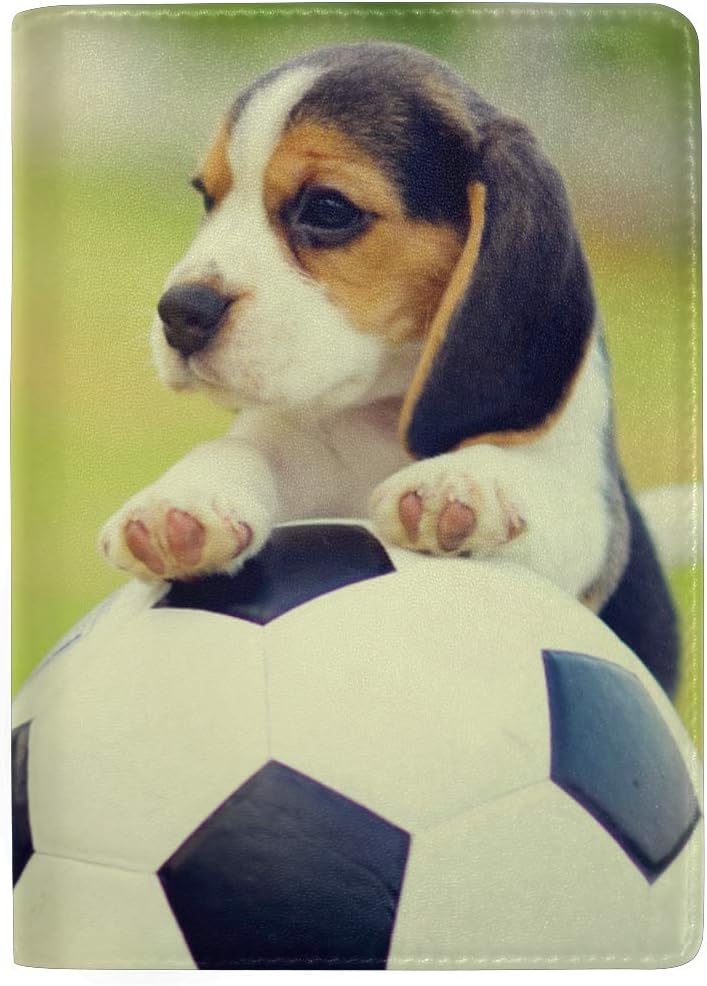 puppy with soccer ball