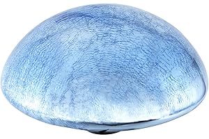 Achla Designs Glass Toadstool Mushroom Gazing Ball, Blue Lapis