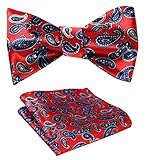 SetSense Men's Paisley Jacquard Woven Self Bow Tie Set One Size Red / Blue