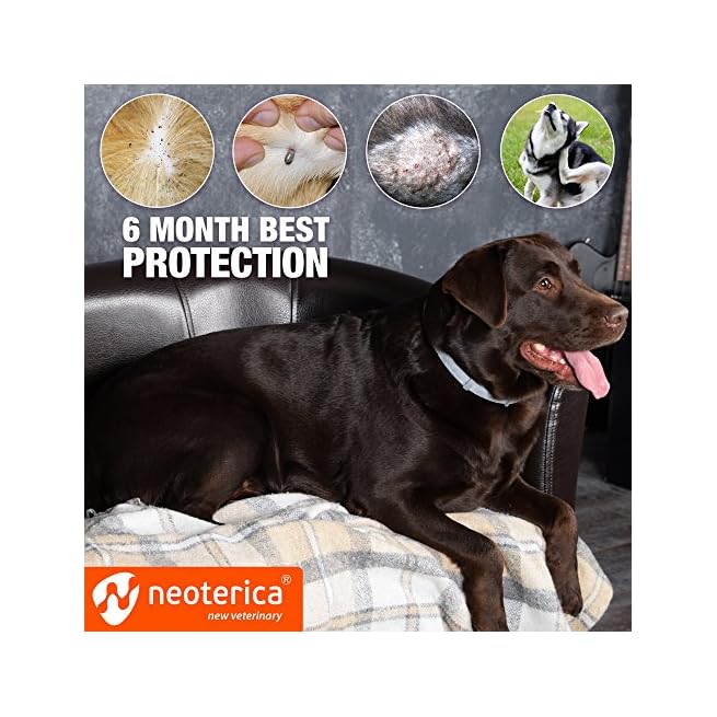 rolf flea and tick collar