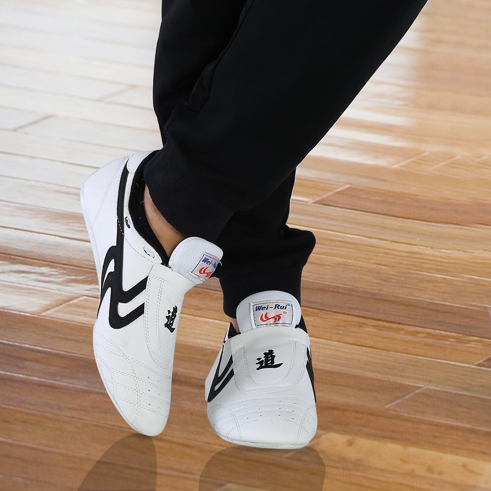 Unisex Taekwondo Shoes, Martial Arts Sports Shoes Sports Boxing Karate Martial Arts Taichi Shoes Lightweight Shoes for Kids Women Men Adult with a Storage Bag : Sports & Outdoors
