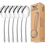Stainless Steel Serving Spoon Set of 6 Pieces for Catering, Dishwasher Safe, 9.14 Inches Large Serving Utensils of Spoons