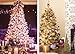 KI Store Purple Christmas Balls 34pcs 1.57-Inch Small Christmas Tree Decoration Ornaments for Xmas Tree Holiday Wreath Garland Decor Ornaments Hooks Included