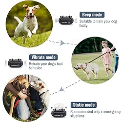 Petrainer PET998DB1 330 Yards Rechargeable and