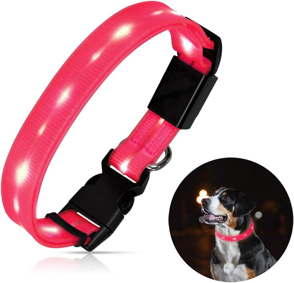 8 hours in dog years