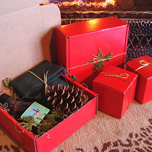 BINESHII GOURMET WILD RICE AND MAPLE SYRUP RED GIFT BOX! BINESHII OVER 40 YEARS OF WILD RICE EXPERIENCE!