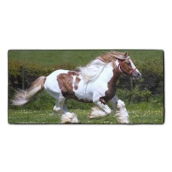 Toallas de cocina | Toallas de baño y de playa de calidad