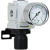 PneumaticPlus PPR2-N02BG-2 Miniature Air Pressure Regulator 1/4" NPT - Gauge, Bracket, Instrument Pressure (3-30 PSI)