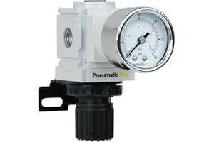 PneumaticPlus PPR2-N02BG-2 Miniature Air Pressure Regulator 1/4" NPT - Gauge, Bracket, Instrument Pressure (3-30 PSI)