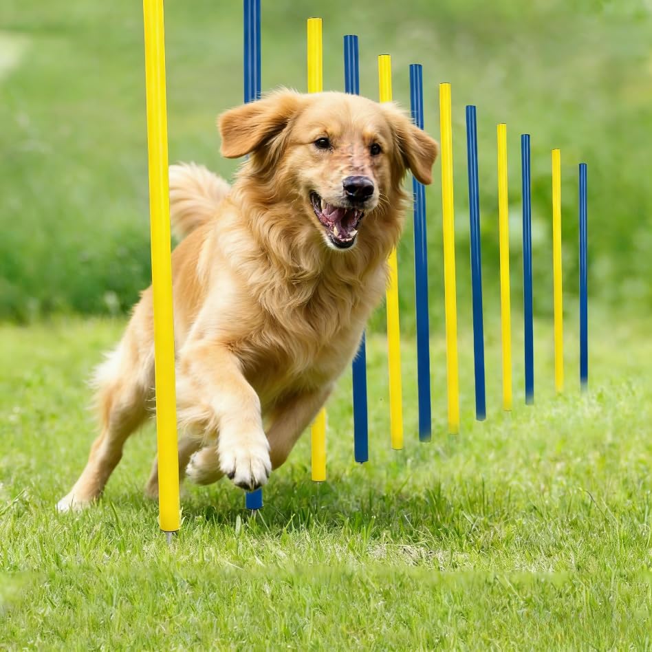 Pawise Pet Dogs Outdoor Games Agility Exercise Training Equipment Agility Starter Kit Jump Hoop Hurdle Bar 12PCS/116CM