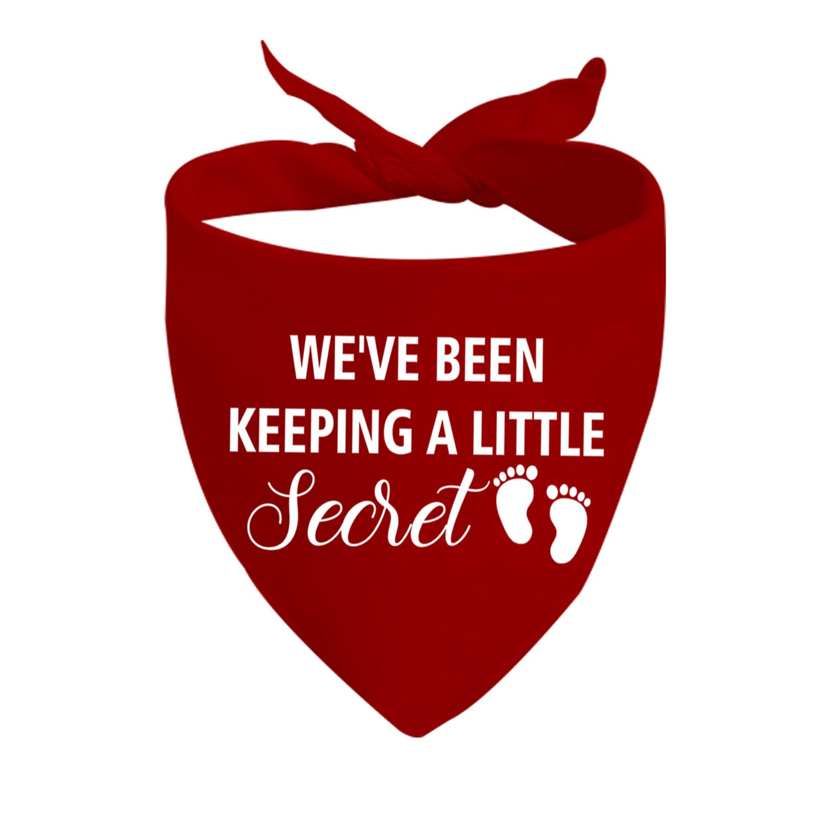 1 Piece We Have Been Keeping A Little Secret Dog Bandana Pregnancy Announcement Gift New Baby Announcement Gift (A Little Secret D EU)