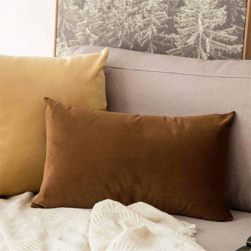 Yh9u Velvet Throw Pillow Cover Solid Pillowcase Decorative Cushion Cover for Couch Sofa 30 X 50 cm, 40 X 60 cm (Color : Brown, Size : 30 X 50 cm)