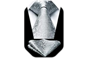 HISDERN Paisley Ties for Men Solid Tie Handkerchief Floral Men's Necktie & Pocket Square Set Wedding Classic Mens Ties