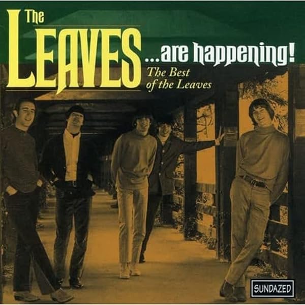 Amazon.com: The Leaves: Hey Joe [Vinyl]: CDs & Vinyl