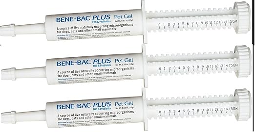 bene bac gel for guinea pigs