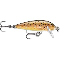 Rapala Countdown 05 Brook Trout, Topwater Lures - Amazon Canada