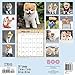 Boo Wall Calendar (2017)