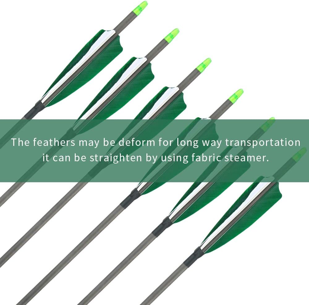 Huntingdoor Pure Carbon Arrows 31inch 400spine Archery Arrows Feather Fletching Screw-in Field Points Targeting Arrows for Compound Bow Recurve Bow 6/12 Pack : Sports & Outdoors