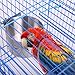 QBLEEV Bird Food Bowl Bird Cage Accessories Parrot Feeder Bowls Dishes Birdcage Stainless Steel Coop Finch Cups Cockatiel Parakeet Water Feeding Watering Supplies for Conure Finch Small Animalthumb 3