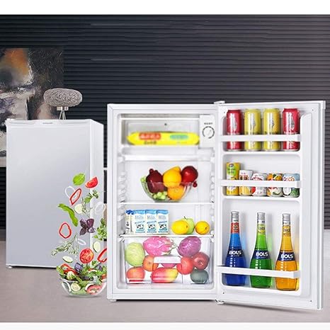 Mini nevera nevera Mini Refrigerador 100L De Capacidad, El Hogar ...
