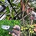 HuaBoYi Pruning Shears Stainless Steel Locking Mechanism Hand Pruners Bypass Garden Clippers for Plant Stems Bladesthumb 1