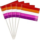 stidsds 100 Pcs Pride Rainbow Flag Sunset Lesbian Toothpick Flags Mini Small Gay LGBTQ Cupcake Toppers Stick Flags Banner Rainbow Party Cocktail Fruit Decoration