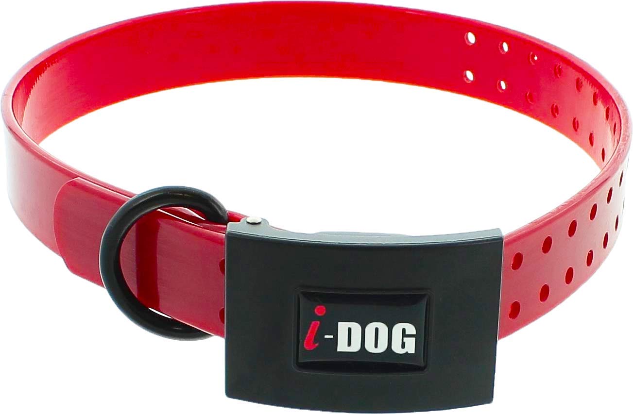 I-dog necklace premium (red)