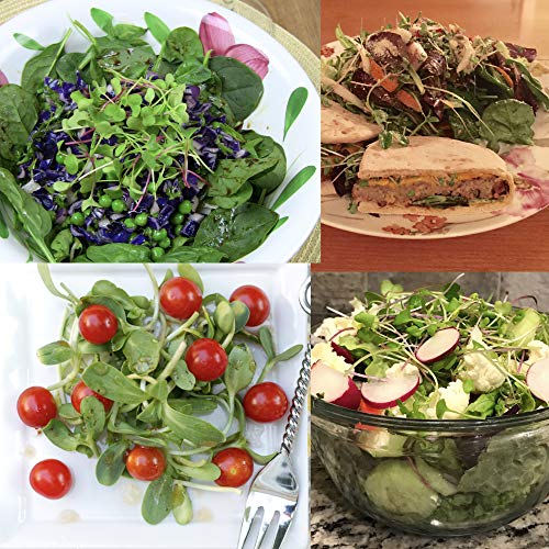 Pop Up Microgreens Kit (3 Varieties) - Just Add Water and Seed. Perfect Size, a Quick, Smart, Nutritious Meal. Includes Fiber Soil in a Bag, Radish, Sunflower, Pea Shoot Seed. Easy Grow/Delicious.