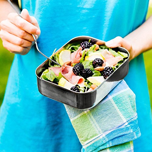 LunchBots Uno Stainless Steel Lunch Container Pricepulse