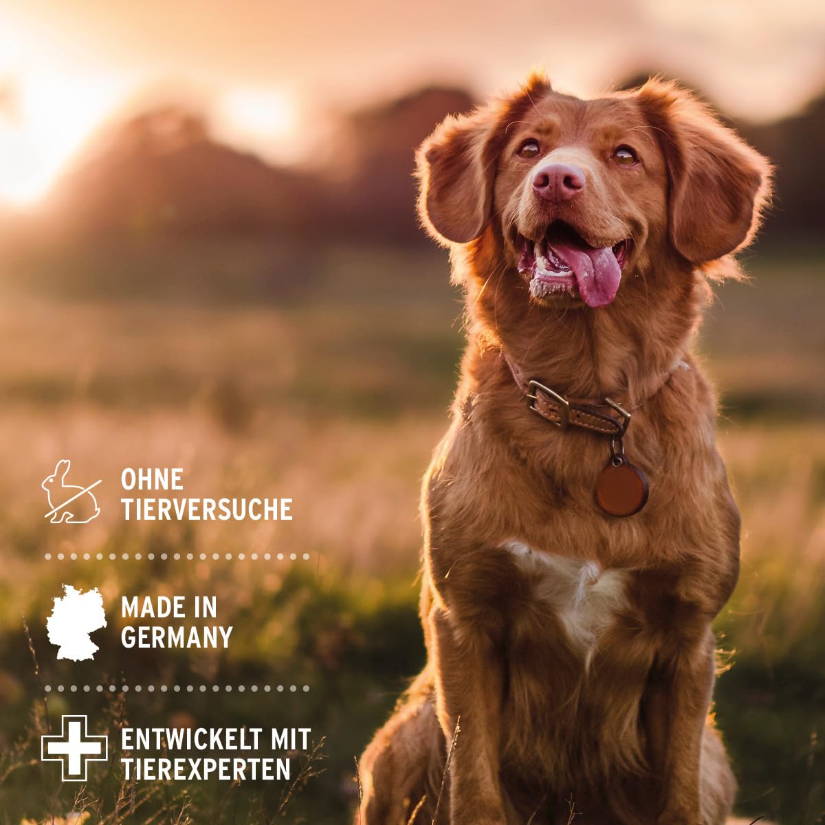 View 6